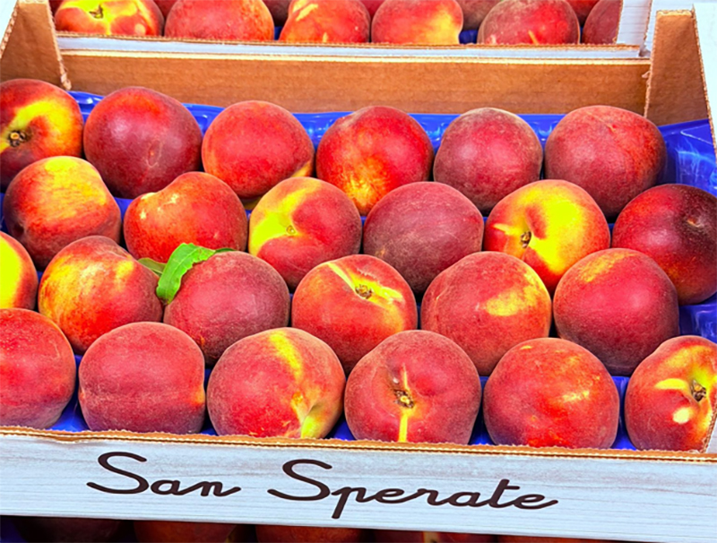 Pesche - Sardegna - da 2,20 a 3,50 euro al chilogrammo